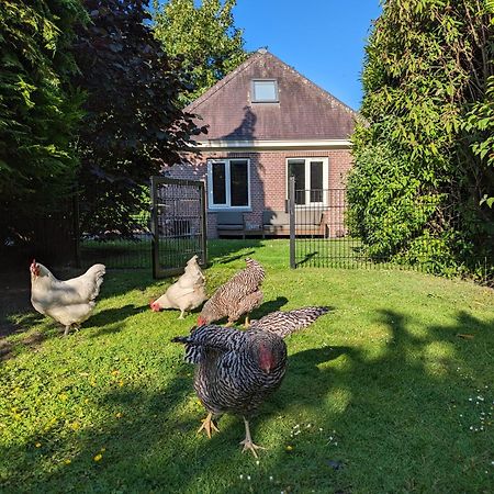 Boutique B&B Villa Van Voss Etten-Leur Eksteriør bilde