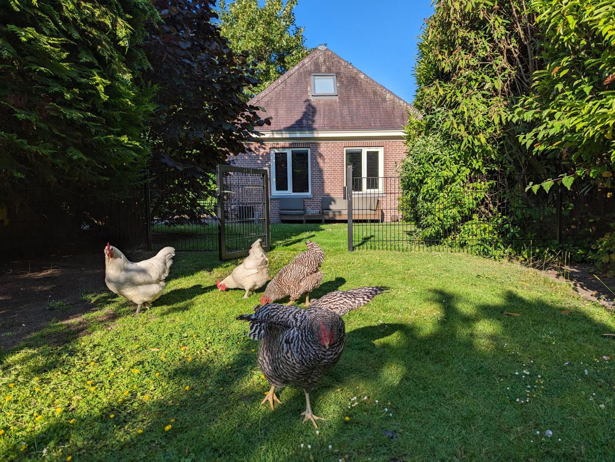Boutique B&B Villa Van Voss Etten-Leur Eksteriør bilde